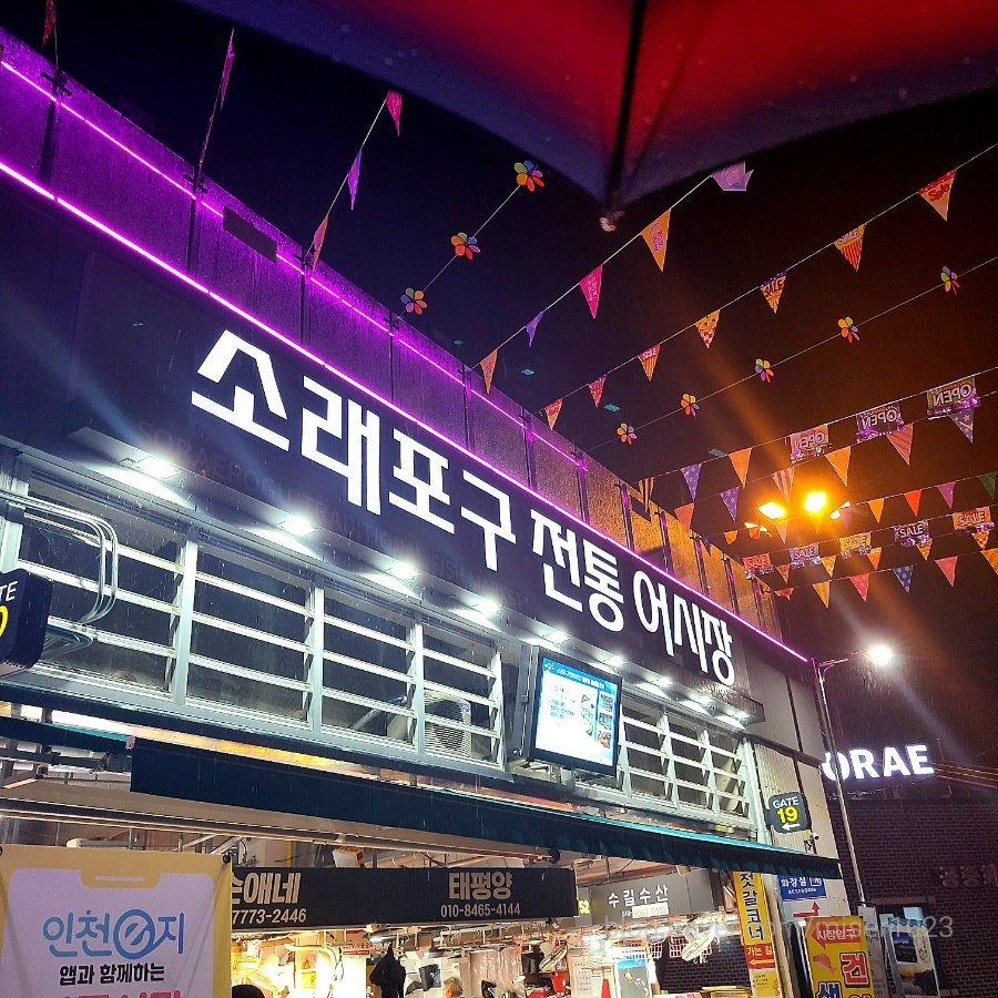 뚱순이네 사진 1