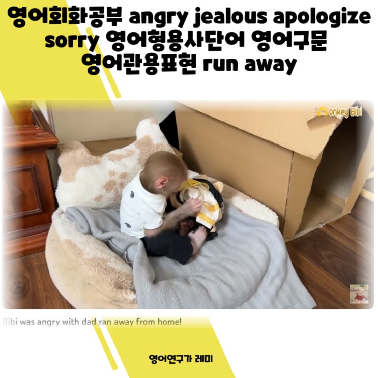 영어회화공부 혼자하기 angry jealous apologize sorry 영어형용사단어 영어구문 영어관용표현