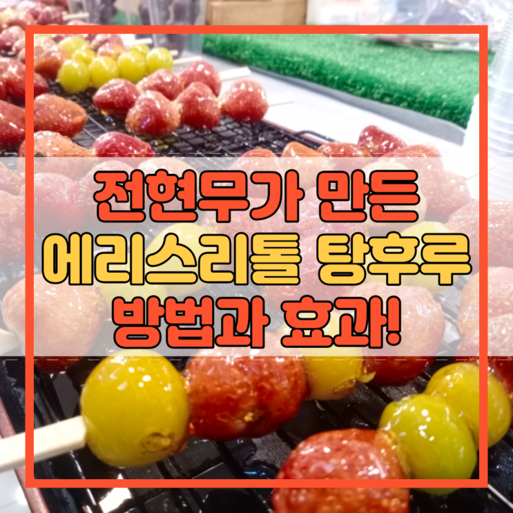  에리스리톨 탕후루 전현무가 만든 방법과 효과!