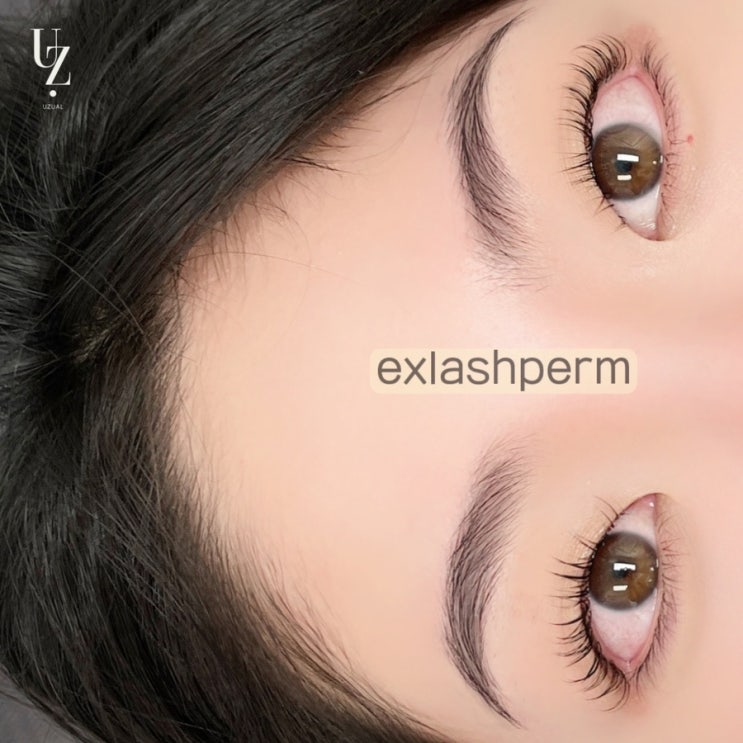  유주얼 시그니처 exlashperm