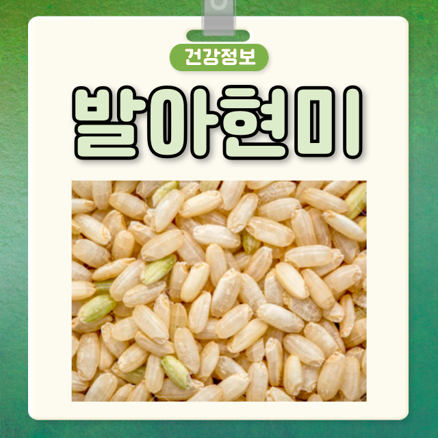 발아현미 효능 부작용 발아현미밥 칼로리 발아현미와 현미 차이점