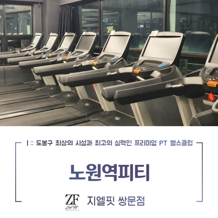  노원역피티 대흉근 자극 펙덱플라이 어떤 효과가 있을까?