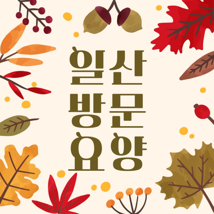  일산방문요양 장기요양등급 신청방법