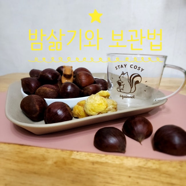 밤 삶기 압력솥 삶는 법 시간 보관법 칼로리 밤 칼집내기 껍질까기