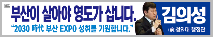[인터뷰] 김의성 전 <b>청와대 행정관</b> "부산 영도, 관광도시로... 