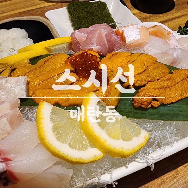  우니 먹고 맛있어서 울고 회 한 점에 두 번 울어버린 매탄동 스시선