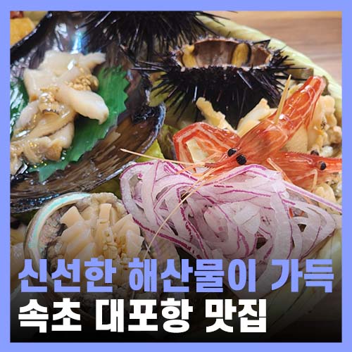  속초 대포항 횟집, 싱싱한 현희네활어횟집