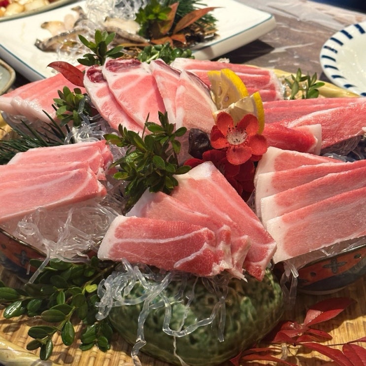  [창원 봉곡동 참치] 밤바다 회참치