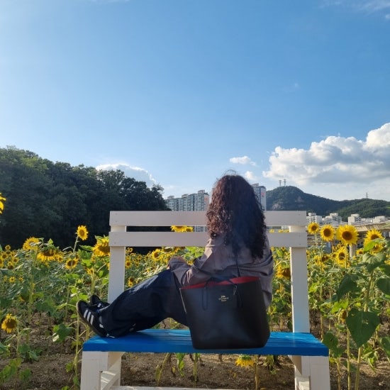  의정부 데이트코스 가볼만한곳 달빛물든 해바라기정원 꽃밭 보고온 후기 효자역 근처