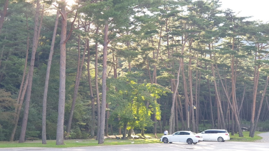 재골 사진 4