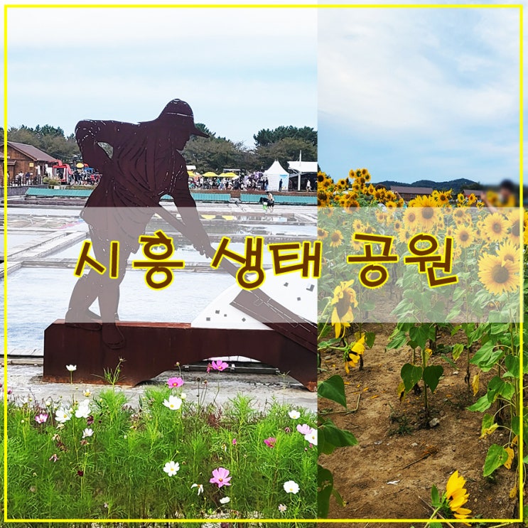  시흥 생태 공원 가을 감성 가득한 9월 갯골 축제 다녀온 후기