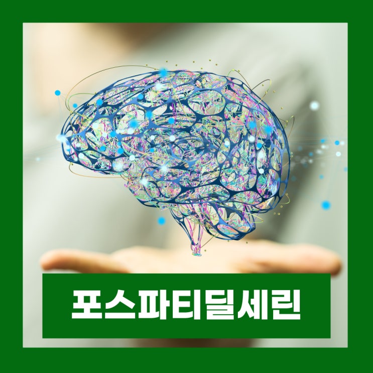 포스파티딜세린 뇌영양제 효능 부작용 포스타디딜세린
