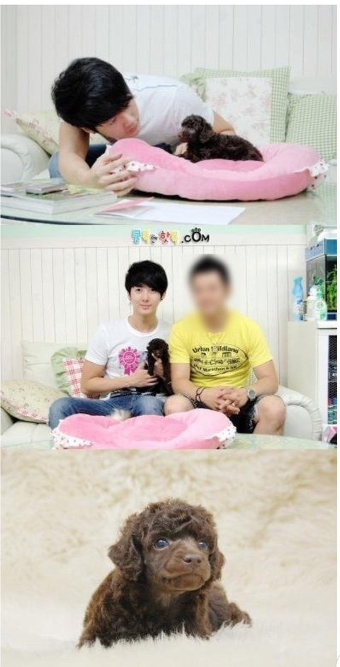 SS501 김형준 토이푸들 개사기 사건 & 근황