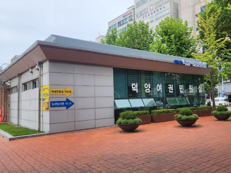  미성년자 여권 신청 준비물 알아봐요! 덕양구청 운영시간 녹색여권 15,000원