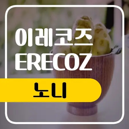  노니 효능 부작용 핵심 정리