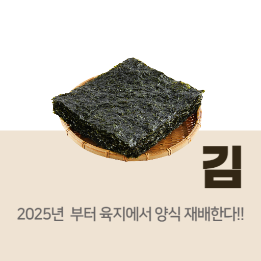  2025년 부터 풀무원 김 이제 육지에서 양식 재배한다