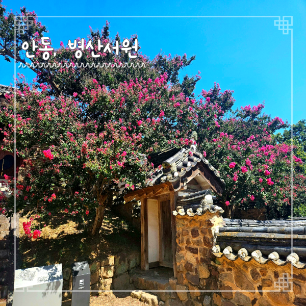  안동여행 가볼만한 곳 병산서원 배롱나무 명소 유네스코 세계문화유산