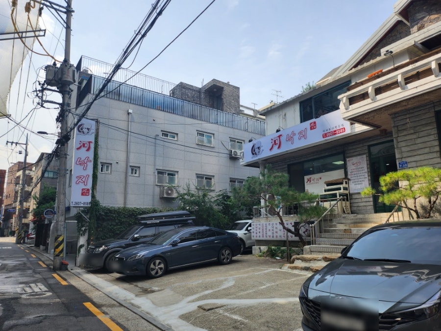 하낙지 사진 2