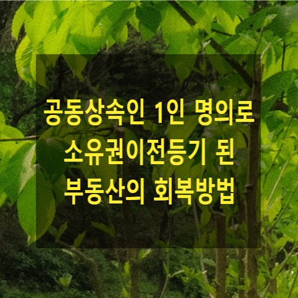  상속 - 공동상속인 1인 명의로 소유권이전등기 된 부동산의 회복방법