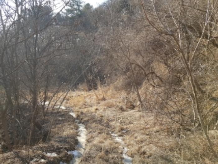 골개골 사진 5