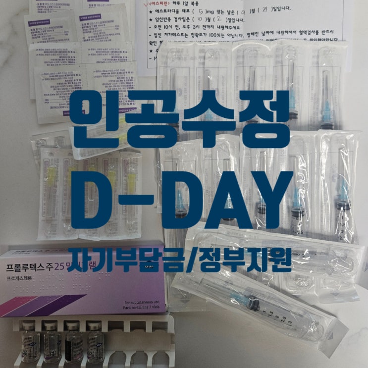  전남 나주 인공수정 정부지원금+자기부담금 / 프로게스테론