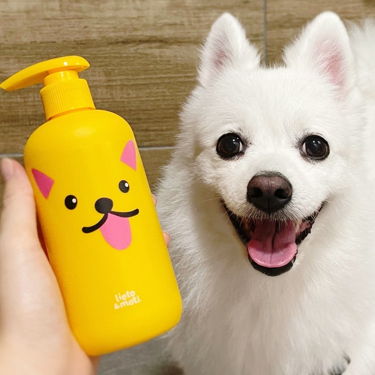  향이 오래가는 강아지 샴푸 추천 리에토모티 애견샴푸