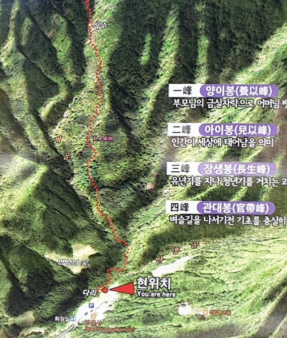 재골 사진 1