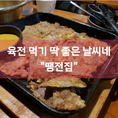  [안암 맛집/고려대 맛집] 인생의 진리는 전 "땡전집"