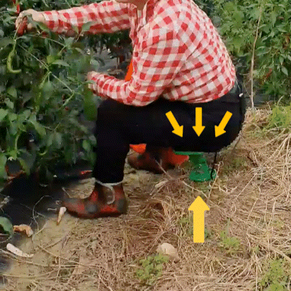  농사의자 추천! 차고다니는의자