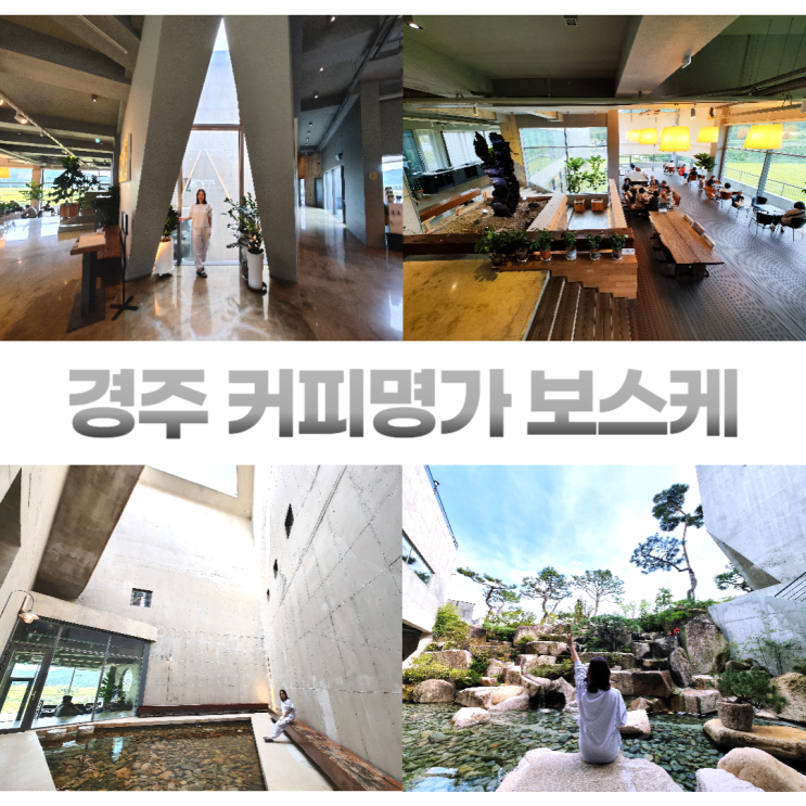 경주 커피명가 보스케 독특한 건축물 대형카페 경주 커피명가 보스케 독특한 건축물 대형카페