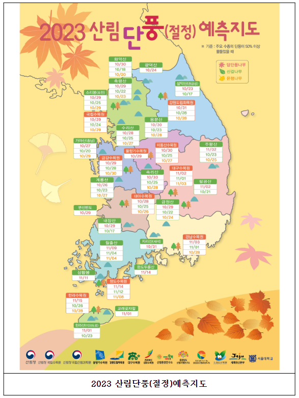 성큼 다가온 가을, 단풍 구경 떠나볼까?