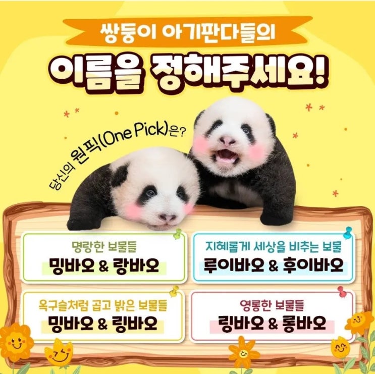  에버랜드 <b>쌍둥이 판다</b> 최종 이름투표 
