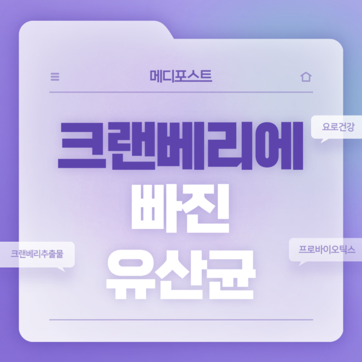  크랜베리 영양제 : 크랜베리에 빠진 유산균 특징 및 섭취방법 【#크랜베리효능 #크랜베리유산균 #요로건강 #프로바이오틱스 #유산균】