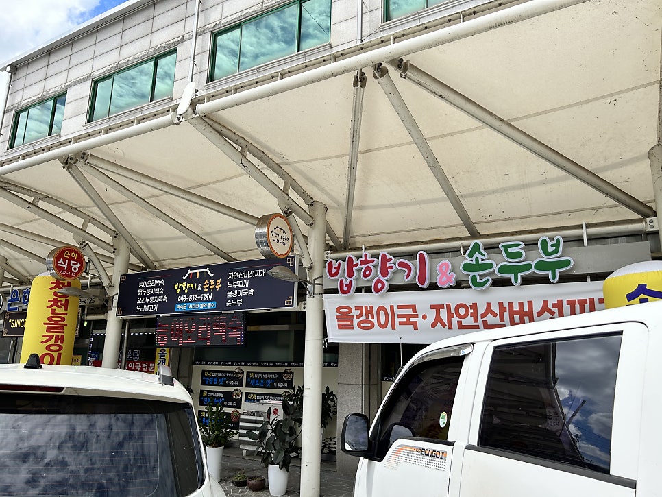 밥향기&손두부 사진 4
