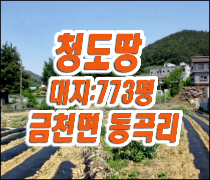 청도군 금천면 동곡리 대지 땅 경매 청도땅경매