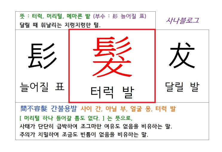  터럭 발