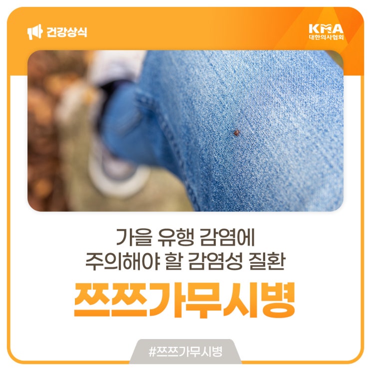  쯔쯔가무시병, 가을 유행 감염에 주의해야 할 감염성 질환
