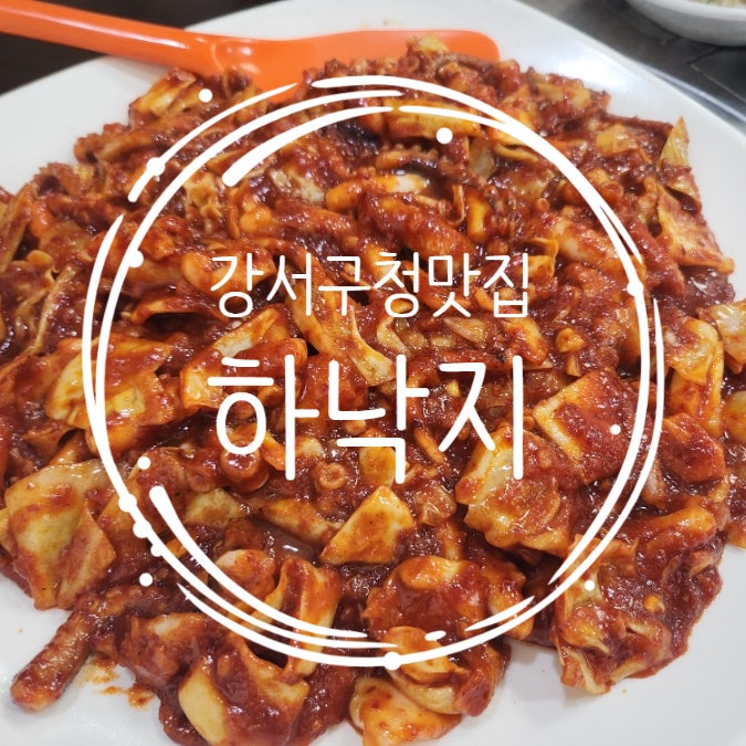 하낙지 사진 1