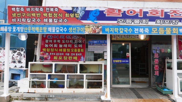 격포채석강횟집 부안 횟집 최고봉 물회의 정석 솔직 후기 (채석강맛집, 채석강횟집, 부안 채석강 맛집, 부안 횟집, 격포항 변산반도 횟집)