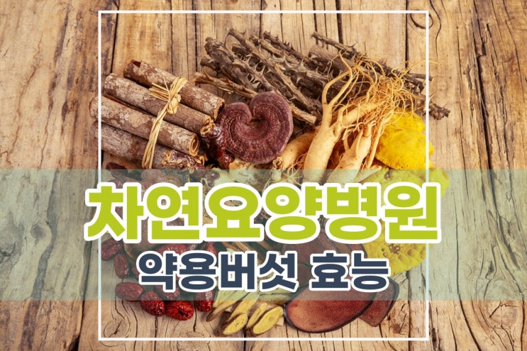 약용버섯종류 효능 먹는법 알고 드세요