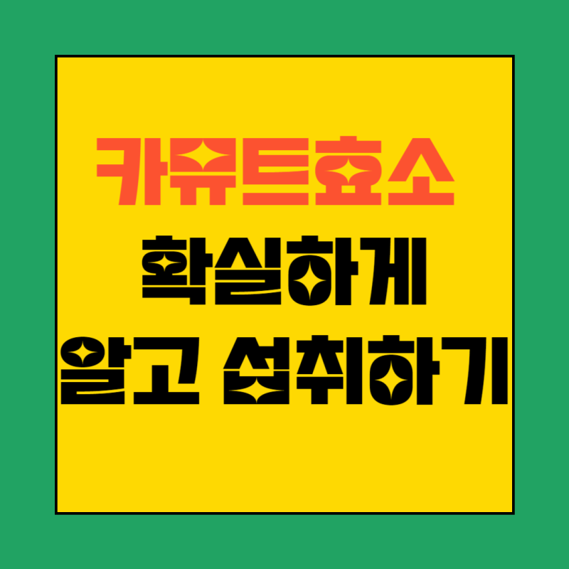 카뮤트효소 효능 및 부작용 확실하게 알고 섭취하기