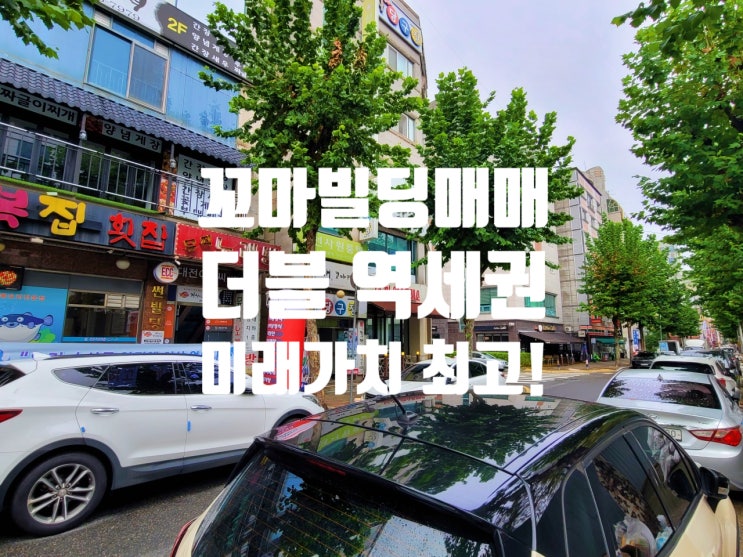  대전 꼬마빌딩 매매 통계청 앞 정부청사역, 갈마역 더블역세권(ft 방위사업청, 트램 호재)