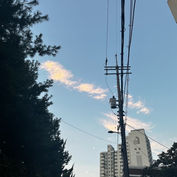  [9-3] 쉼쉼쉼표