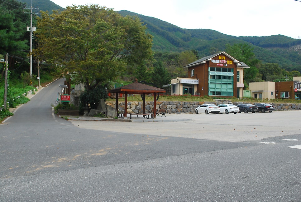 성골 사진 3