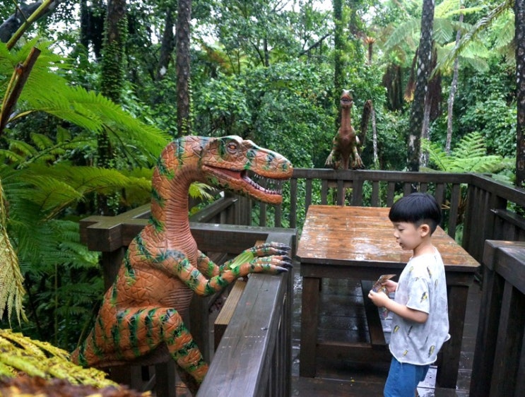 [오키나와 여행] 정글 포토존 다이노공룡파크 Dino Park + 나고 오카시고텐 자색고구마 타르트 기념품