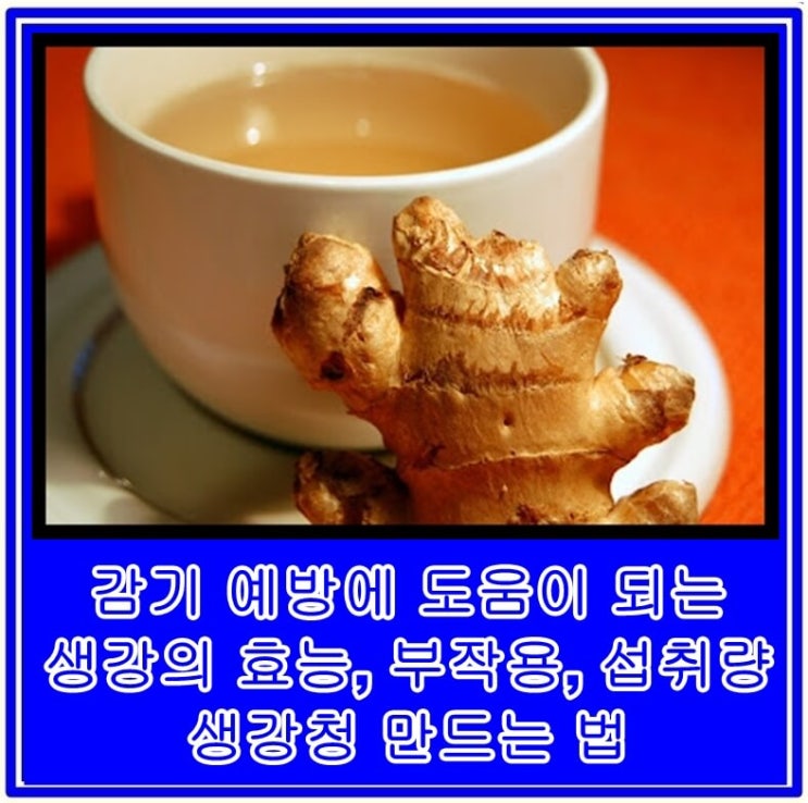  감기 예방에 도움이 되는 생강의 효능, 부작용, 섭취량 및 생강청 만드는 법