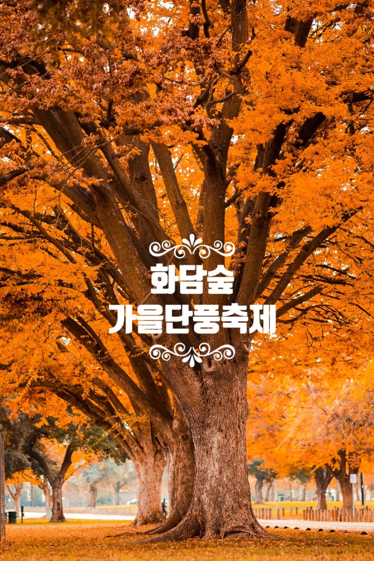 화담숲 가을 단풍 축제 기본 정보 입장권 모노레일 예약까지