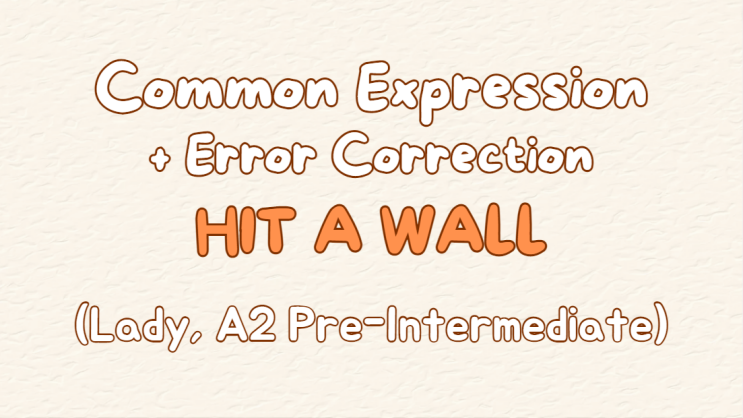  [새미영 수업 엿보기] 13. Common Expression: Hit a wall 영어표현 배우기