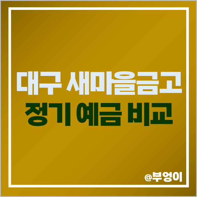 대구 새마을금고 정기예금 금리 비교 이자율 높은 특판 추천 대구 새마을금고 정기예금 금리 비교 이자율 높은 특판 추천
