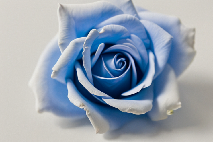 [Ai Greem] 사물_꽃 037: 출처 기재 없이 상업적으로 사용 가능한 파란 장미, 파랑 장미 꽃, 파란색 장미 관련 Ai 무료 썸네일 이미지 및 일러스트